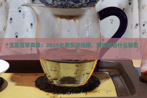 玉龙雪芽是什么茶 玉龙雪芽是什么茶