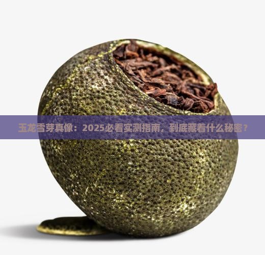 玉龙雪芽是什么茶 玉龙雪芽是什么茶