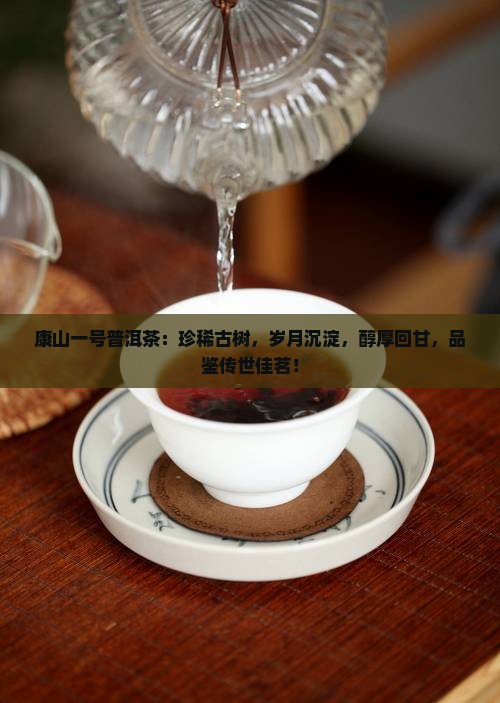 康山一号普洱茶