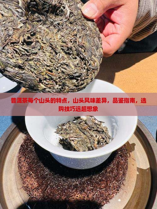 普洱茶每个山头的特点