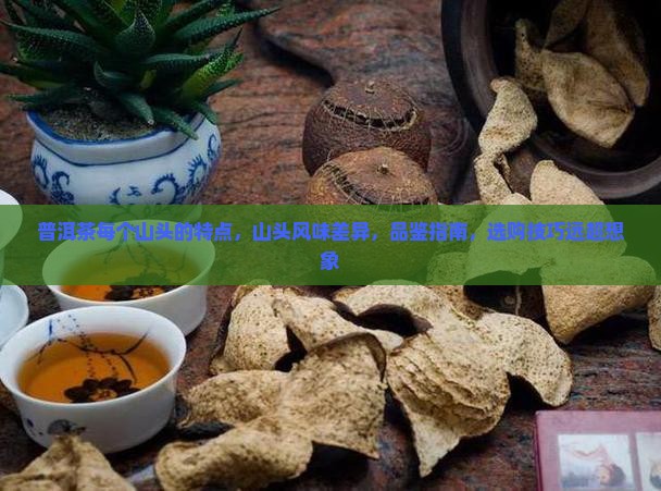 普洱茶每个山头的特点