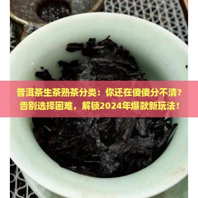 普洱茶生茶熟茶分类
