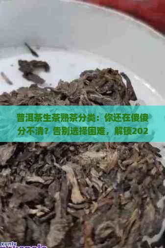 普洱茶生茶熟茶分类
