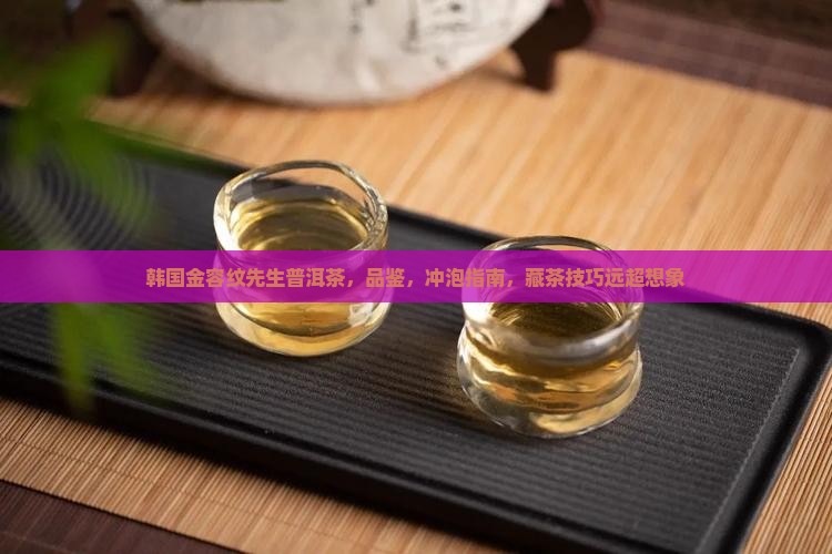 韩国金容纹先生普洱茶