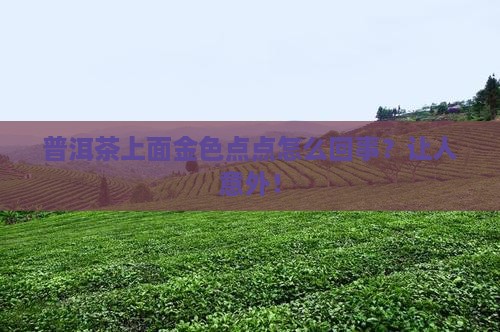 普洱茶上面金色点点怎么回事
