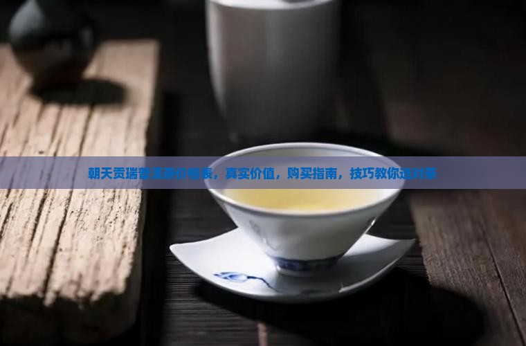 朝天贡瑞普洱茶价格表