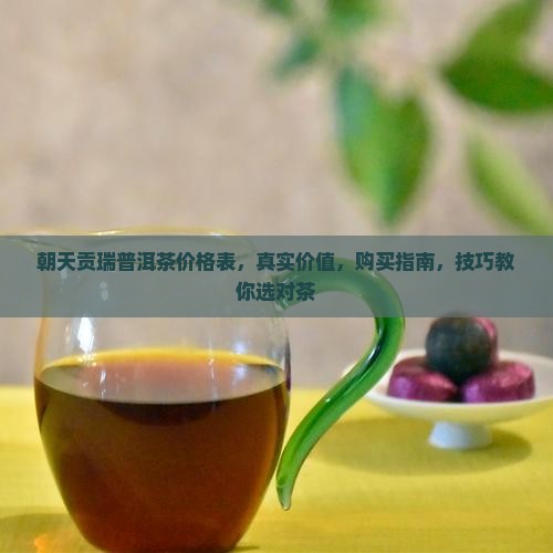 朝天贡瑞普洱茶价格表
