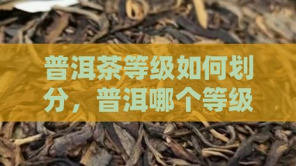 普洱茶哪个等级高