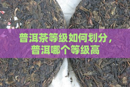 普洱茶哪个等级高