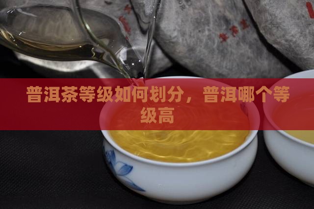 普洱茶哪个等级高