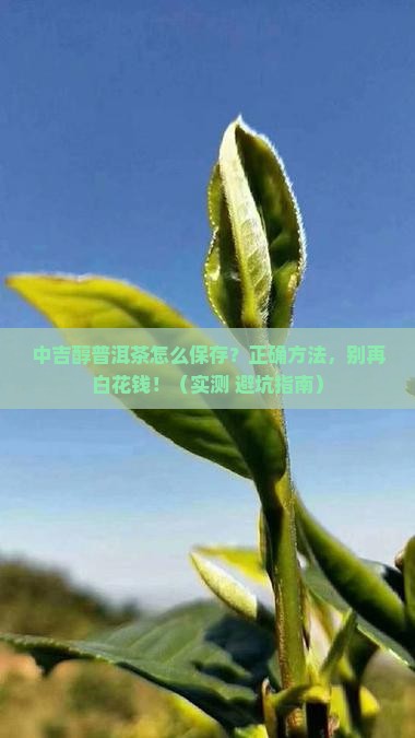 中吉醇普洱茶保存条件