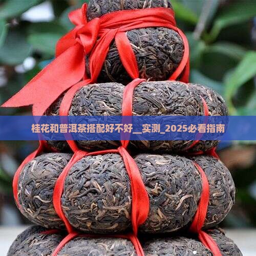 桂花和普洱茶搭配好不好