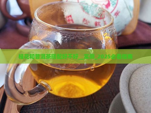 桂花和普洱茶搭配好不好
