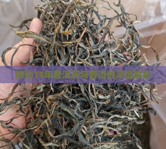 陈化15年普洱茶特点介绍