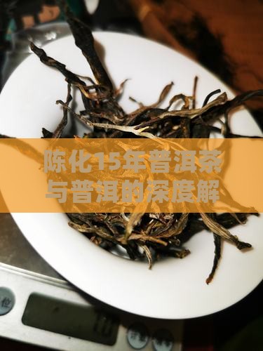陈化15年普洱茶特点介绍