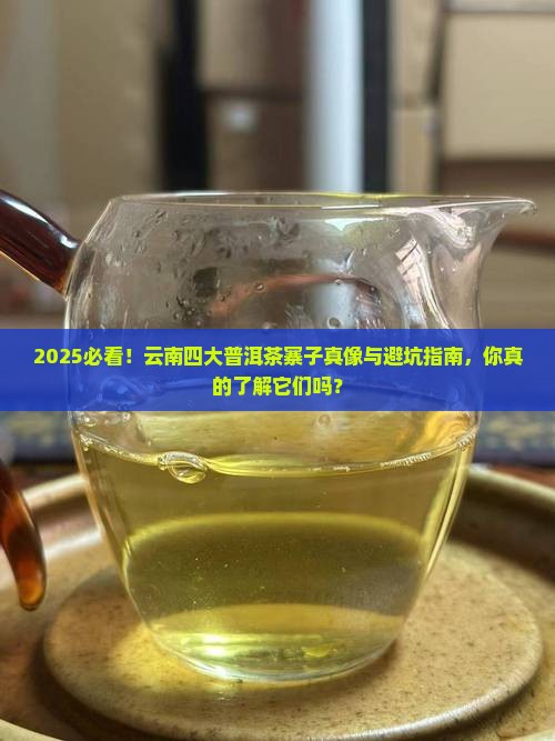 云南四大普洱茶寨子是哪四个