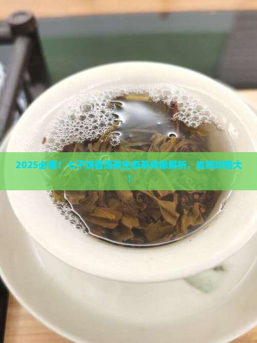 七子饼普洱茶生态茶