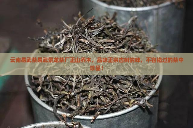 云南易武茶易武景龙茶厂正山乔木