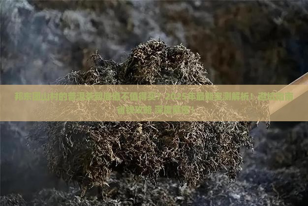 邦东团山村的普洱茶