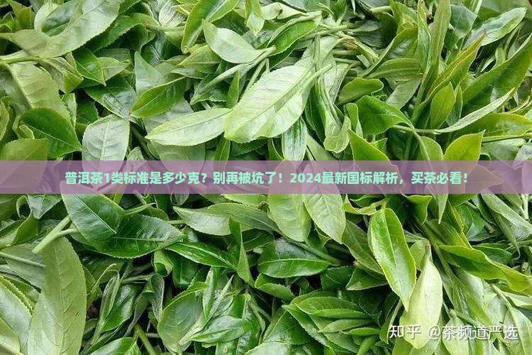 普洱茶1类标准是多少克
