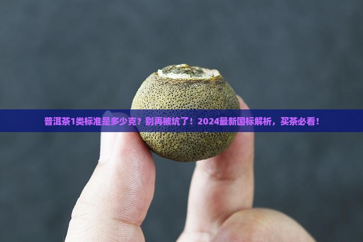 普洱茶1类标准是多少克
