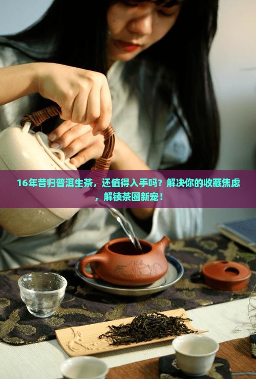 16年昔归普洱生茶