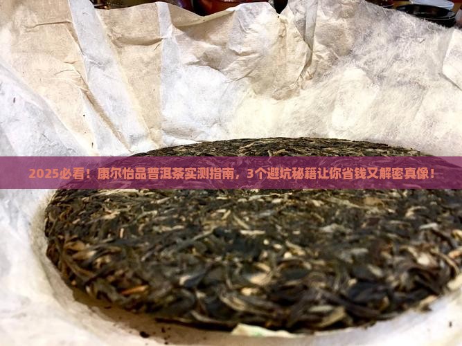 康尔怡品普洱茶