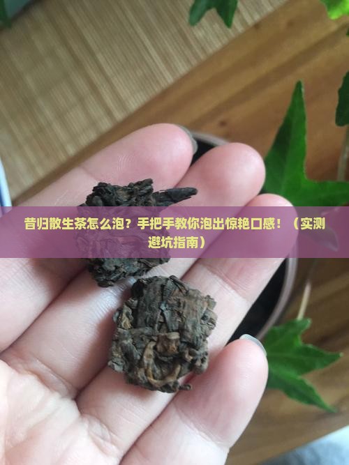 昔归散生茶怎么泡