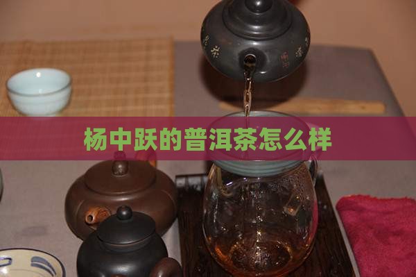 杨中跃的普洱茶怎么样