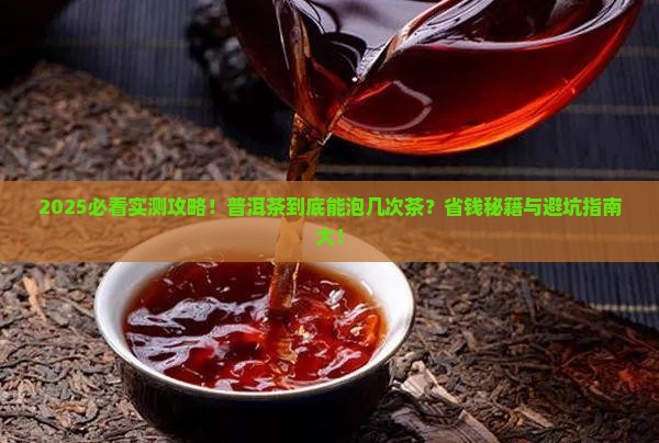 普洱茶可以泡几次茶