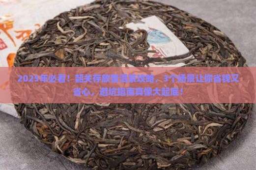 韶关适合存放普洱茶