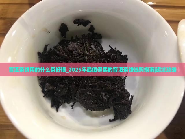 普洱茶饼用的什么茶好喝