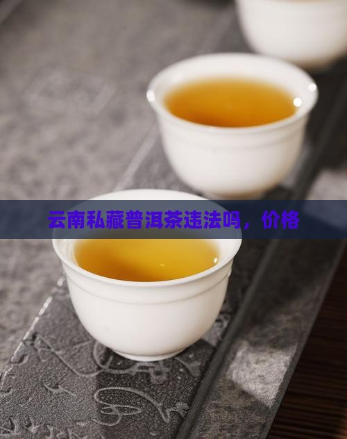 云南私藏普洱茶
