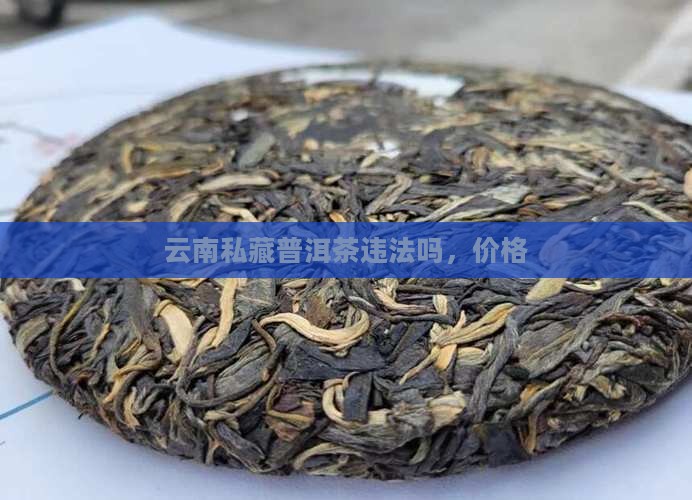 云南私藏普洱茶