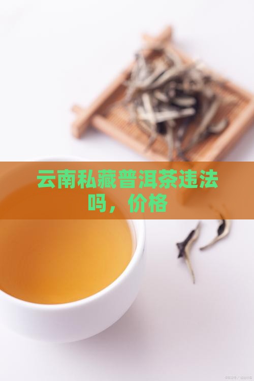云南私藏普洱茶