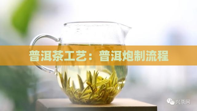普洱茶炮制流程