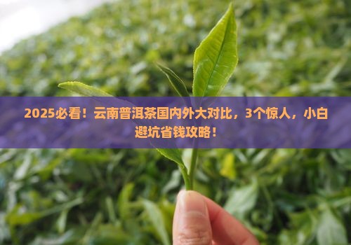 云南普洱茶的国内外对比