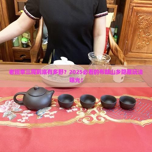 布朗山乡老班章三爬