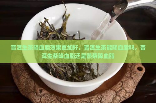 普洱生茶降血脂效果更加好