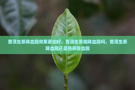 普洱生茶降血脂效果更加好