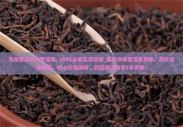 洪海普洱洪海普洱茶