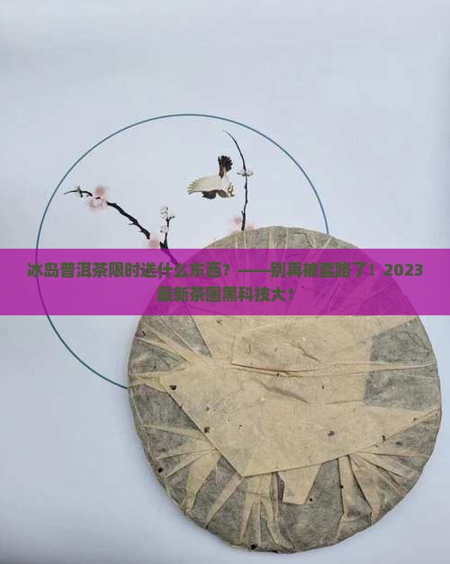 冰岛普洱茶限时送什么东西