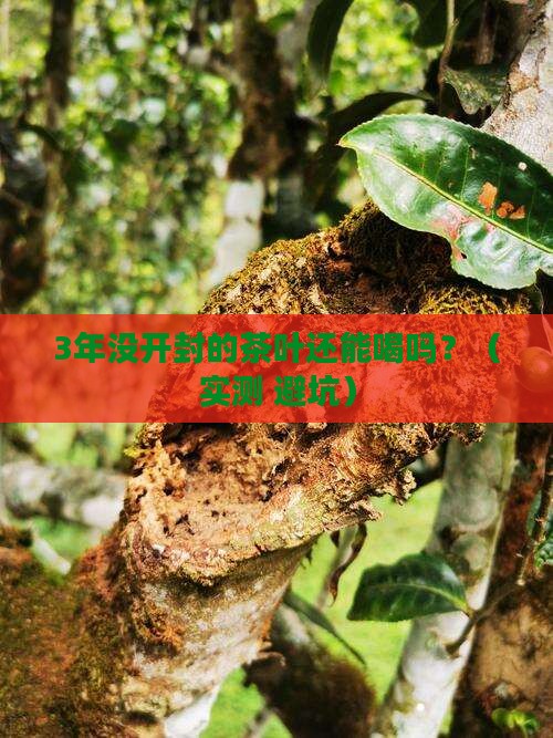 没有开封的茶叶放多久才能喝