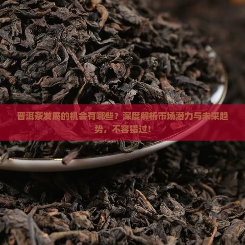 普洱茶发展的机会有哪些