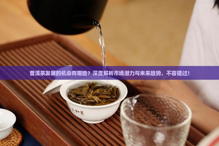 普洱茶发展的机会有哪些