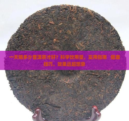一天喝多少普洱茶才好