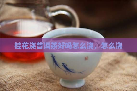 桂花浇普洱茶好吗