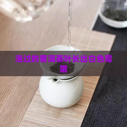 泡过的茶叶长出白色霉菌