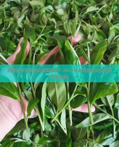 昆明德华普洱茶价格表最新