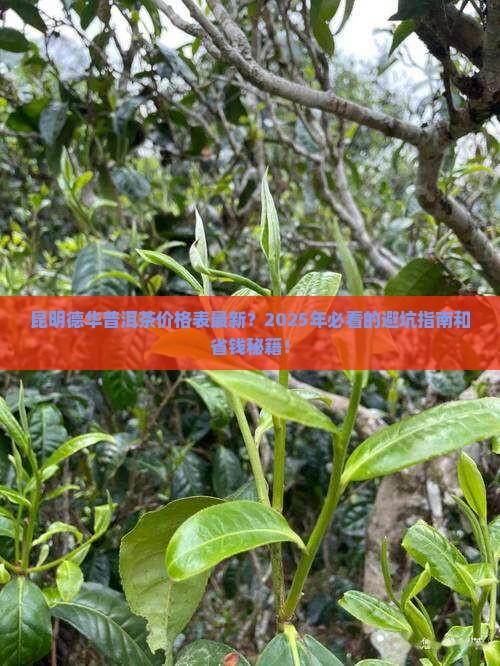 昆明德华普洱茶价格表最新